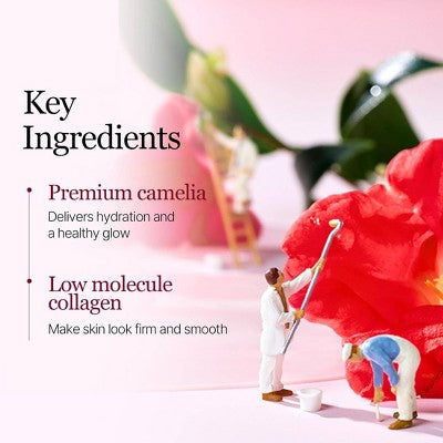 Round Lab Camellia Deep Collagen Firming Gel Mask - 1.19oz