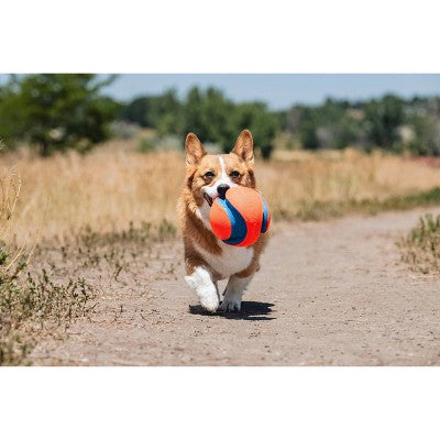 Chuckit! Kick Fetch Dog Ball Toy