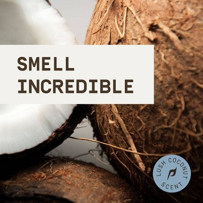 Papatui Refreshing Men's Body Wash Lush Coconut - 18 fl oz