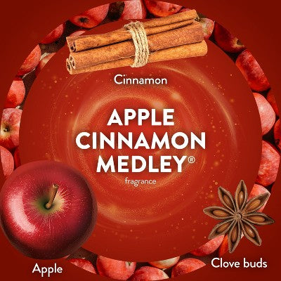 Air Wick Plug-In Scented Oil Air Freshener Starter Kit Apple Cinnamon Medley - 0.67 fl oz