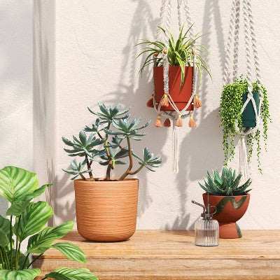 38'' Macrame Recycled Polyester Plant Hanger Cream - Threshold