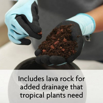 Miracle-Gro 6qt Tropical Potting Mix