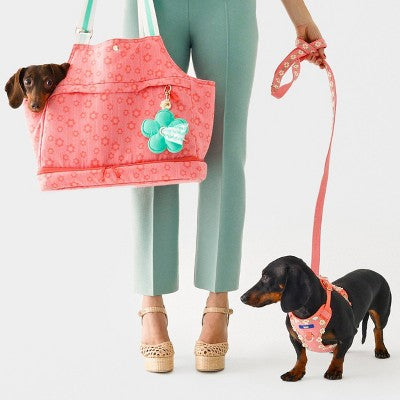 Hooray House Pet Carrier Travel Bag