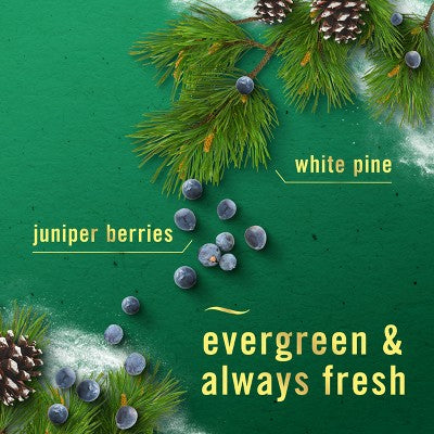 Febreze Bathroom Air Freshener - White Pine & Juniper Berry - 2ct