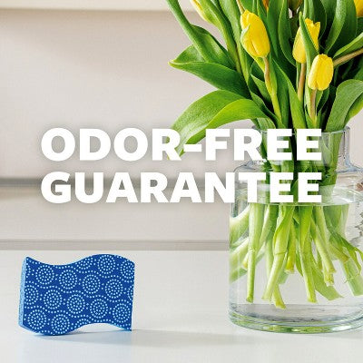 Scotch-Brite Scrub Dots Non-Scratch Scrub Sponge - 2pk