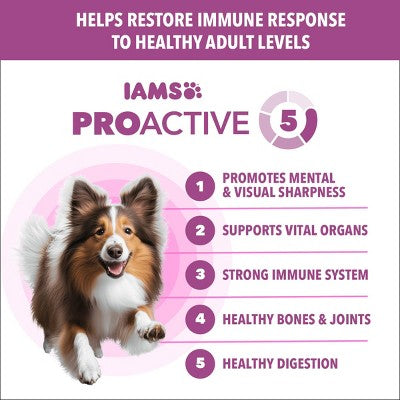 IAMS Healthy Aging Chicken and Whole Grains Recipe Mature Senior Dry Dog Food - 5lbs