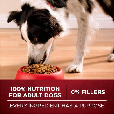 Purina ONE SmartBlend True Instinct High Protein Natural Real Beef & Salmon Flavor Dry Dog Food - 3.8lbs