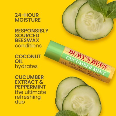 Burt's Bees Lip Balm - Cucumber Mint - 0.15oz: Moisturizing, Paraben-Free, Sulfate-Free, Formaldehyde-Free