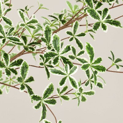 96" Shady Lady Green Artificial Tree - Hearth & Hand with Magnolia (LOCAL PICKUP ONLY)