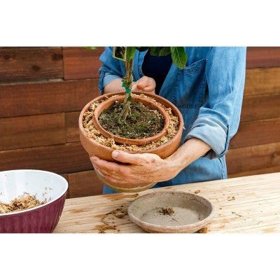 SuperMoss Sphagnum Moss Mini Bale