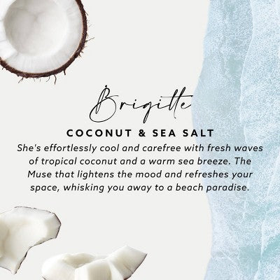 Maison&Muse 2pk Car Air Fresheners Coconut and Sea Salt
