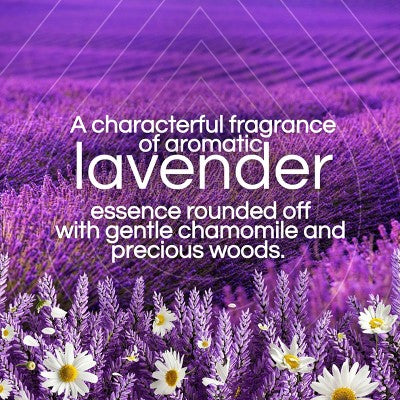 Air Wick Plug-in Scented Oil Air Freshener Refills - Lavender - 6pk