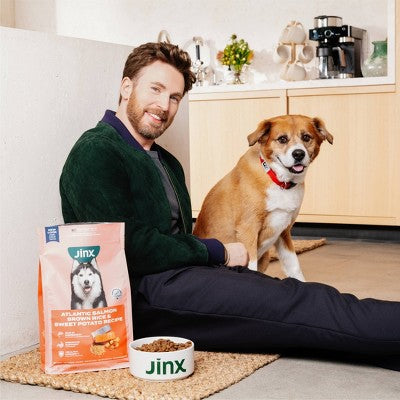 Jinx Beef Flavor Dry Dog Food - 4lbs