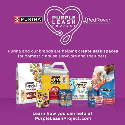 Purina Beneful Healthy Puppy Real Chicken Flavor Dry Dog Food - 3.5lbs