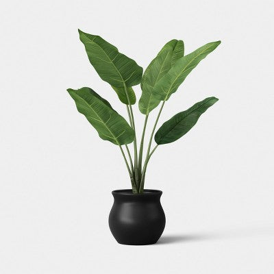 25" Banana Leaf Plant - Threshold (LOCAL PICKUP ONLY)