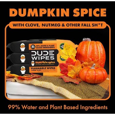 Dude Wipes Dumpkin Spice Flushable Wipes - 3pk/144ct