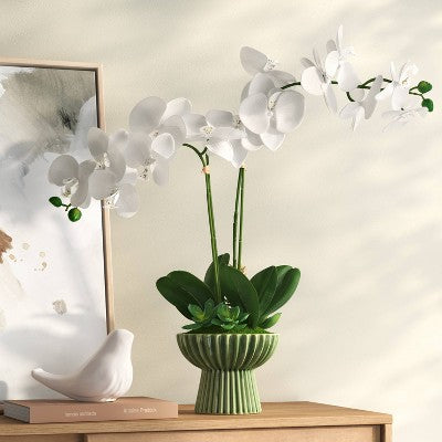 22" Elevated Orchid Plant - Threshold (LOCAL PICKUP ONLY)
