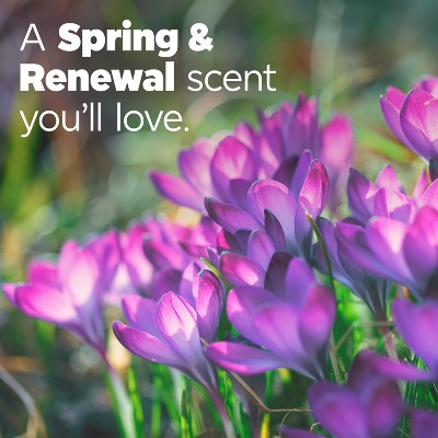 Tide Plus Febreze Spring & Renewal High Efficiency Liquid Laundry Detergent Soap - 149 fl oz