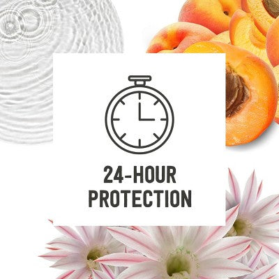 Schmidt's 24-Hour Natural Deodorant Stick - Woodsy/Earthy/Fresh Scent - 2.65oz