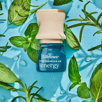 Sensory Immersion Gift Set - Lifelines: Stress Relief Spa Essentials with Grounding Stone & Oil Blends