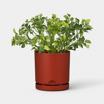 2pc Recycled Resin Indoor Outdoor Planter Pots Dark Red 4" - Room Essentials