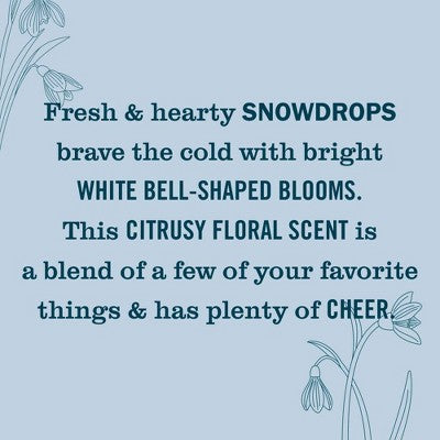 Mrs. Meyer's Clean Day Premium Scented Oil Plug-In Diffuser Air Freshener Refills - Snow Drop - 0 .67 fl oz/2pk