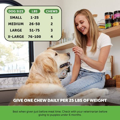 Pet Honesty Probiotics Gut & Health Duck Flavor Supplement for Dog - 60ct
