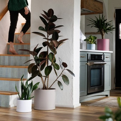 Bloem Mathers 12" Modern Plastic Planter with Saucer, Pebble Stone