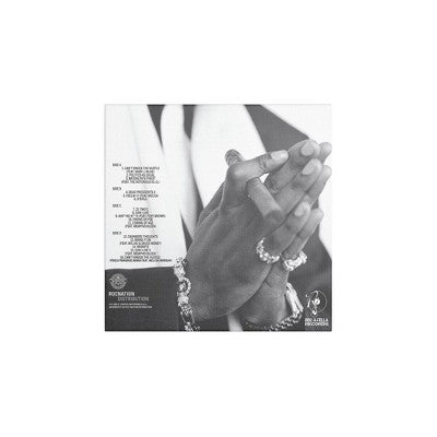 JAŸ-Z - REASONABLE DOUBT (2 Vinyl)