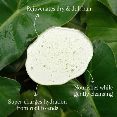 California Naturals Super Moisture Shampoo - 16.5 fl oz