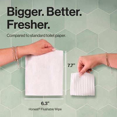 The Honest Company Flushable Wipes - Gilded Wings - 126ct: Unscented