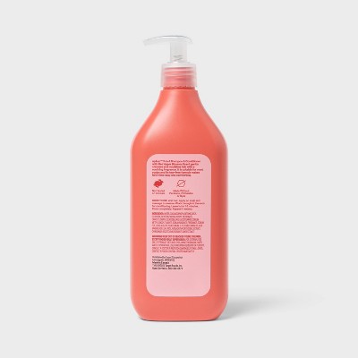 Kids' 2-in-1 Shampoo & Conditioner - Red Apple Blossom Scent - 20oz - up&up