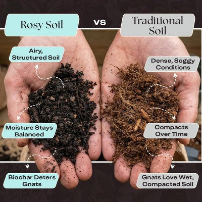 Rosy Soil 4qt Herb Mix Organic Potting Soil Blend for Indoor Plants: Enriched with Biochar, Worm Castings, Fast Draining, Peat Free