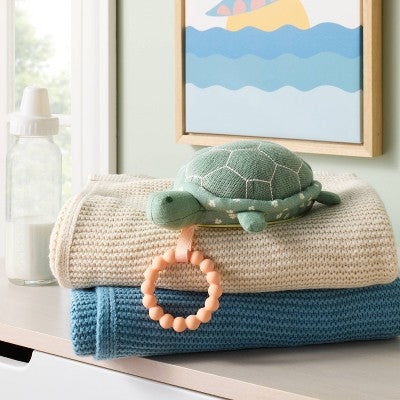 Interactive Toy - Turtle - Cloud Island