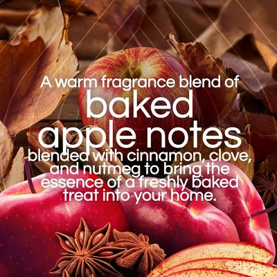 Air Wick Scented Oil Vibrant Air Fresheners - Warm Spiced Apples - 3ct