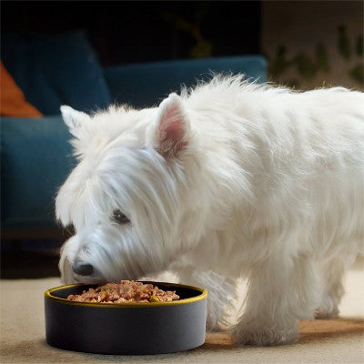 Cesar Home Delights Adult Wet Dog Food Pot Roast with Spring Vegetables and Beef Dinner in Sauce - 3.5oz
