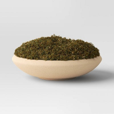 Faux Moss Bowl - Threshold