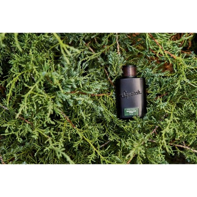 DR. SQUATCH Cologne - Woodland Pine - 1.7 fl oz
