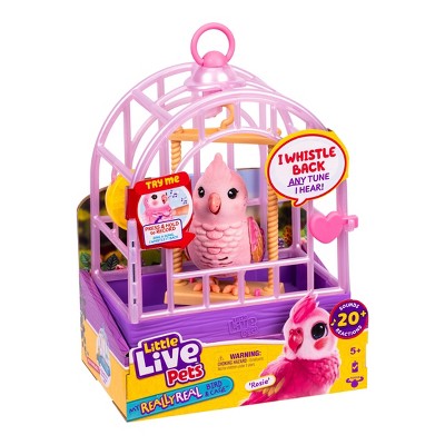 Little Live Pets Rosie Real Bird and Cage: Interactive Singing & Recording Toy