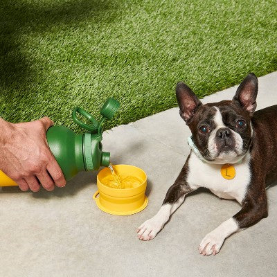 Pet Water Bottle w/ Built in Bowl - 46oz - Green - The Cuddle Collab with Baloo & Pan