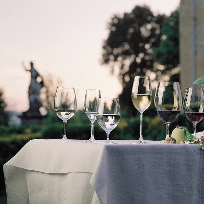 Riedel Vivant Champagne Flute 9oz - Set of 2: Crystal Flutes, Dishwasher-Safe, Drinkware, Cold Beverages, Service for 2