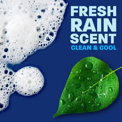 Dawn Platinum Fresh Rain Dish Soap - 26.8 fl oz