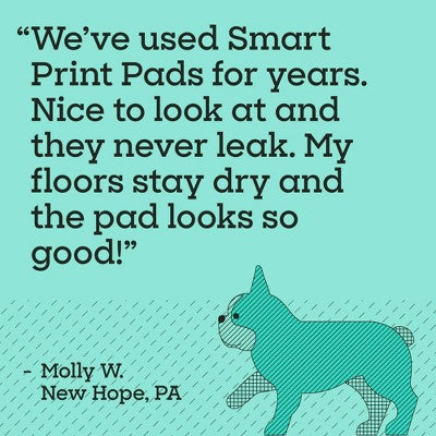 Pet Life Unlimited Puppy Smart Prints Training Dog Pads - L - 40ct