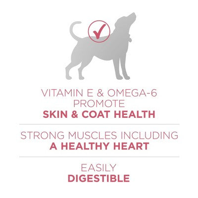 Purina ONE Plus Seafood, Fish and Salmon Flavor Skin and Coat Dry Dog Food - 8lbs
