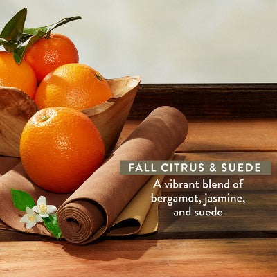 Native Limited Edition Fall Getaway Deodorant - Fall Citrus & Suede- 2.65oz