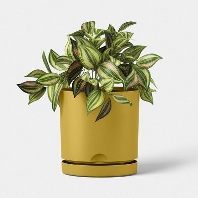 Recycled Resin Indoor Outdoor Planter Mustard Yellow 8" - Room Essentials
