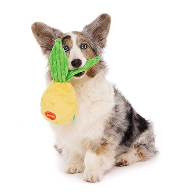 BARK Beg-n-Bag Medium Box Dog Plush Toy Set - 5pc