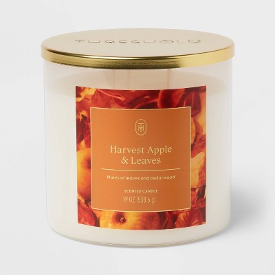 3 Wick Lidded Harvest Apple and Leaves Jar Candle 19oz - Threshold