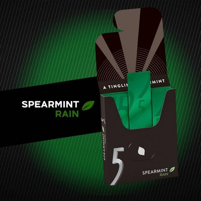 5 Gum Spearmint Rain Sugar Free Chewing Gum - 15ct