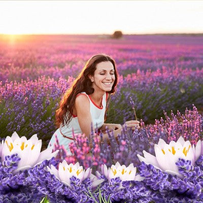 Air Wick Vibrant Scented Oil Air Freshener Refill - Lavender & Waterlily - 3.35 fl oz/5ct